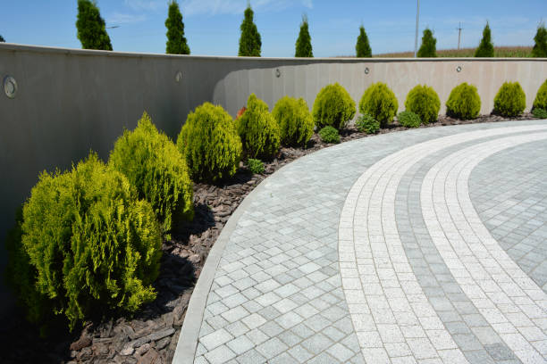 Reasons to Select Us for Your Driveway Paving Requirements in Cleveland, TN